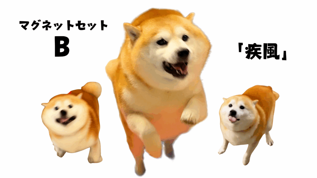 柴犬らんまるマグネット　セットB