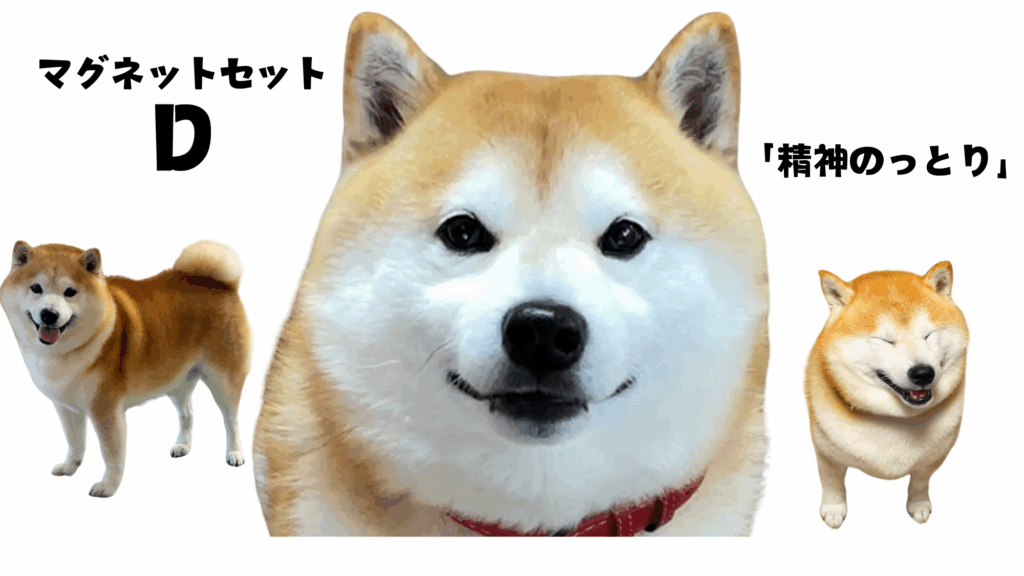 柴犬らんまるマグネット　セットD