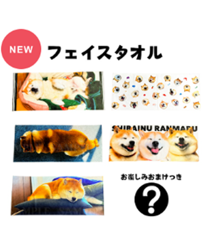 柴犬らんまるフェイスタオルコンプリートセット