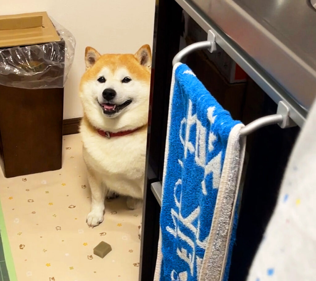 丸頭不動産 物件 賃貸 紹介 メゾン丸頭
